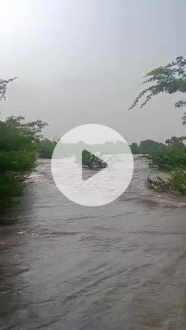 सवालता खुर्द की नदी तेज तूफान पर सड़क के ऊपर से चल रहा है पानी 1 सितंबर से लगातार चल रहा पानी