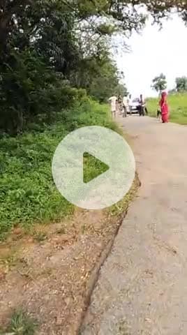 होमगार्ड पंकज उपाध्याय द्वारा धमकी दिया जा रहा है हमारे पैतृक हिस्सा पेट की जमीन परजुताई के दौरान।