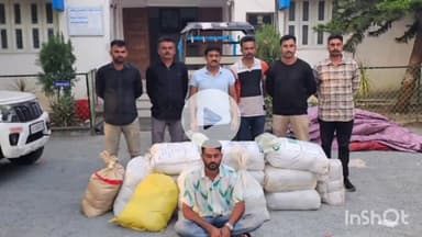 રાણાવાવ: રાણાવાવ પોલીસે સાજણાવાળા નેશ વિસ્તારમાંથી છકડો રિક્ષામાંથી દેશી દારૂનો જથ્થો ઝડપી લીધો
