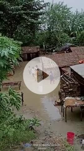 गाढ़ा हसन पारू थाना 11नंबर वार्ड दक्षिणी । में भीषण बारिश होने से 20घर पानी में डूबा #आजतक