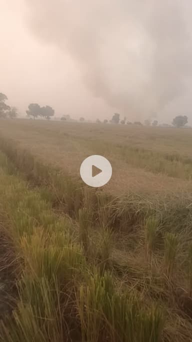 किसान सरेआम लग रहे हैं परली में आग #news #city #pollution #haryana