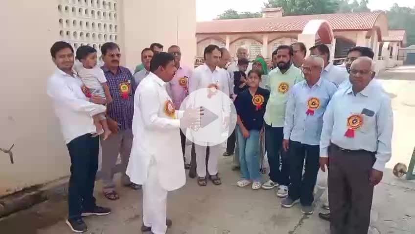 हनुमानगढ़ :राष्ट्रीय युवक परिषद द्वारा देवउठनी ग्यारस पर बाईपास गौशाला मैं11 क्विंटल हरा चारा व गुड गायों को खिलाया गया