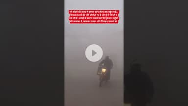 सतना में घने कोहरे की वजह से दृश्यता शून्य मीटर तक पहुंच गई है,#viralvideo#मौसम #ठंड #कोहरा