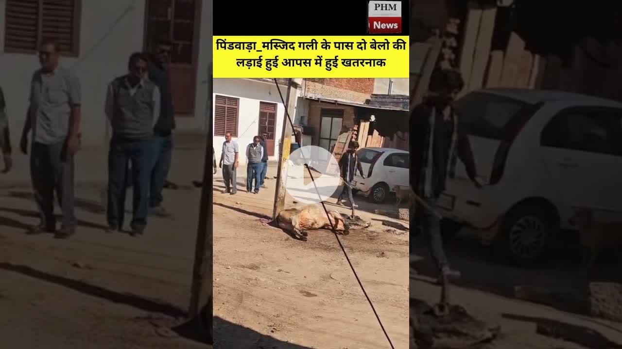 #पिंडवाड़ा मस्जिद गली के पास दो बेलो की लड़ाई हुई आपस में हुई खतरनाक #shorts #viral