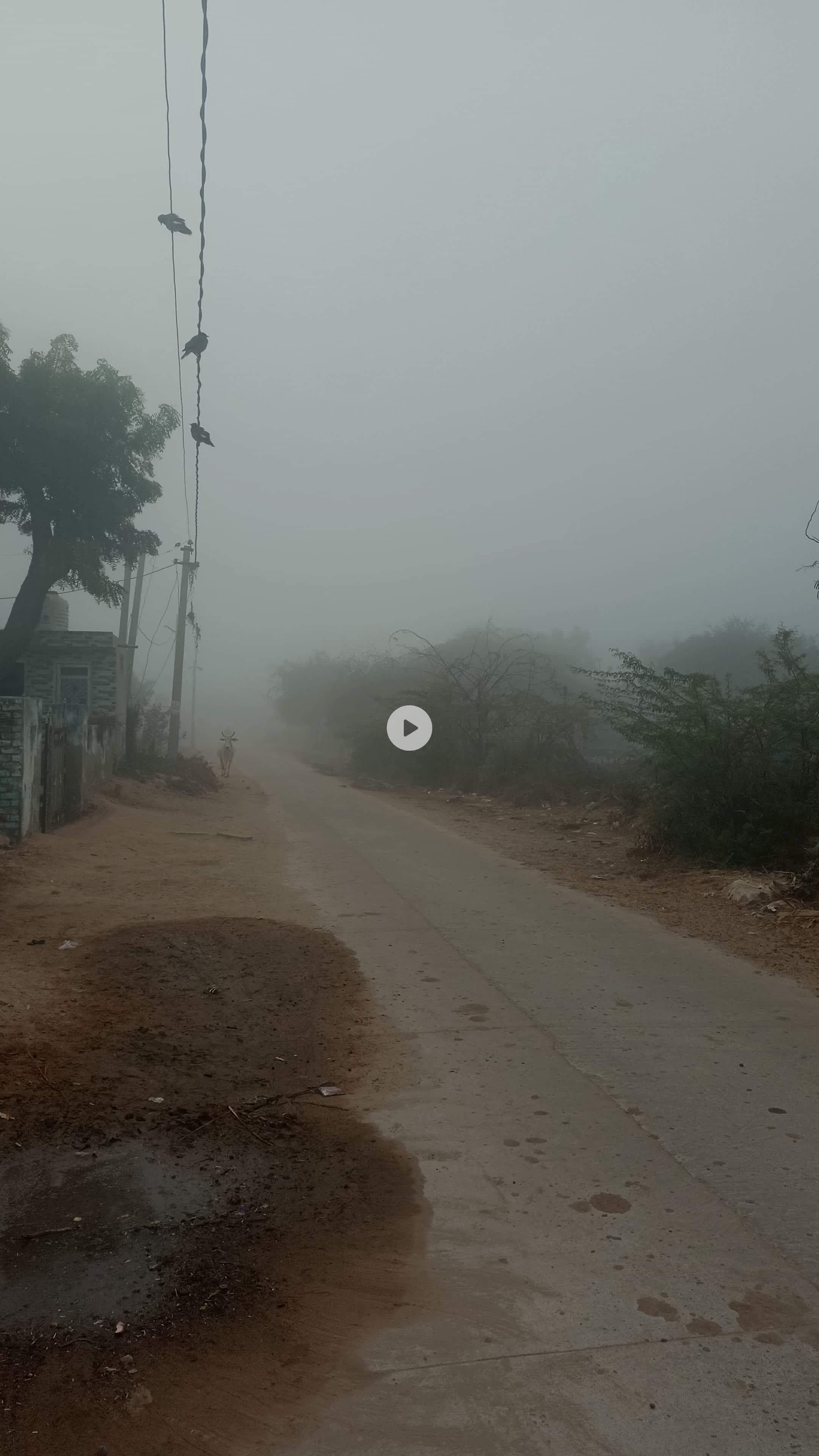 जिला डीडवाना कुचामन
तहसील मकराना की ओर गच्छीपुरा और अलतवा के क्षेत्र में का कोहारा