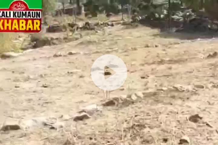 लोहाघाट:डीएम चंपावत के निर्देश पर नगरू घाट की क्षतिग्रस्त सिंचाई गूल की होगी मरम्मत ग्रामीण फिर से करेंगे खेती