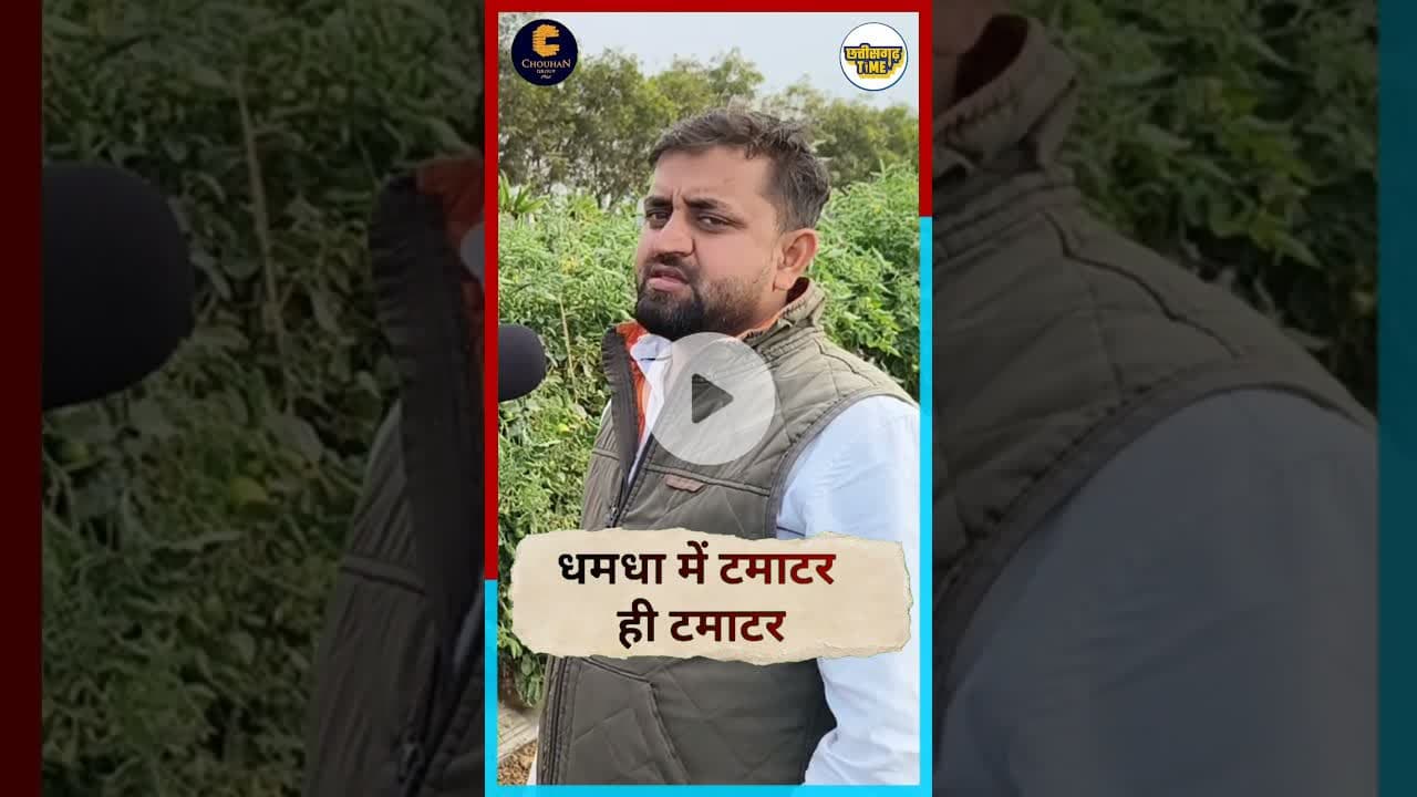 #durg #dhamdha में टमाटर ही टमाटर #chhattisgarh #latestnews #news #live