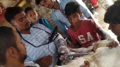 #bakri ka simen siwan me