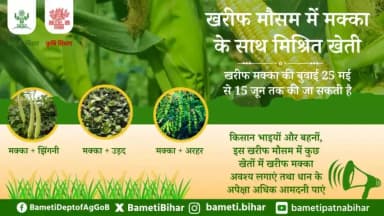 खरीफ मौसम में मक्का के साथ मिश्रित खेती की तैयारी कर दें शुरू।📢
खरीफ मक्का की बुवाई 25 मई से 15 जून तक की जा सकती है।
#BAMETIBihar #Agriculture