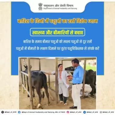 बरसात के दिनों में बीमार पशुओं को अलग रखें और बीमारी के लक्षण दिखने पर तुरंत पशुचिकित्सक को बुलाएं। #पशुपालन #स्वास्थ्य #animalcare #livestockcare