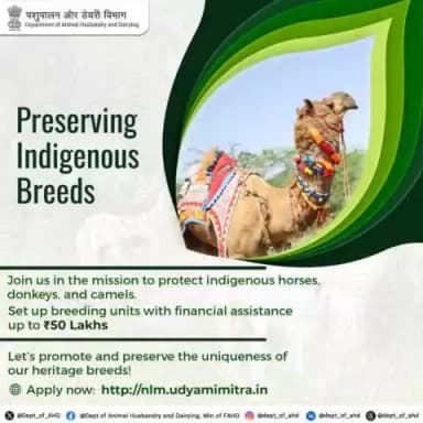Preserving Indigenous Breeds!
Protect and promote our heritage breeds—horses, donkeys, and camels—with ₹50 Lakhs financial support under #NLM.
Apply here http://nlm.udyamimitra.in