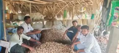 Interactive session at Torredu held to promote bio-based disease control in turmeric
#ViksitKrishi #TurmericCultivation