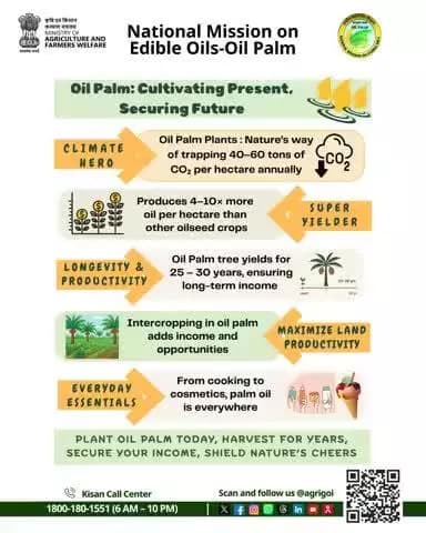 Plant #OilPalm today, secure decades of income! 🌴 High yield, long life & climate hero ensuring farmer prosperity & nature’s care.