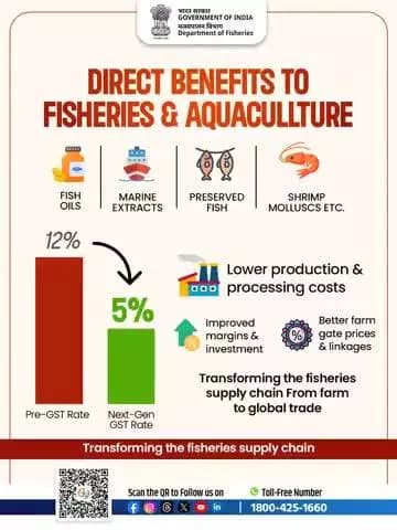Lower GST on essential fishery products will unlock growth, affordability, and competitiveness across India’s seafood value chain.
#NextGenGST #56thGSTCouncil #AquacultureBoost #SupplyChain
