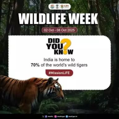 Did You Know?
#MissionLiFE #ProPlanetPeople
#WildlifeWeek #wildlifeweek2025
@railminindia @moefcc