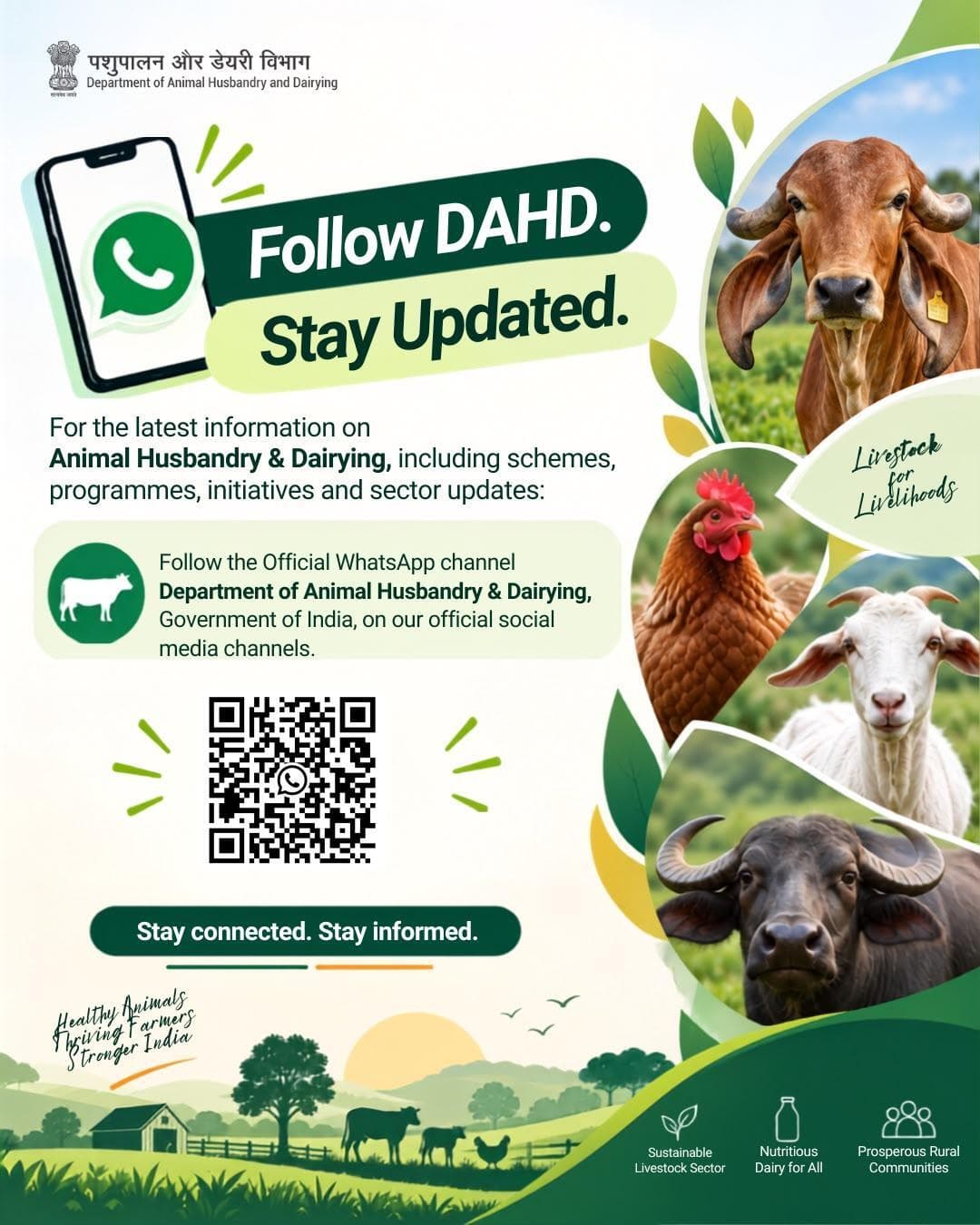 Get DAHD advisories & updates on WhatsApp: https://whatsapp.com/channel/0029VbB7IxMCBtx8wvHZVi2o